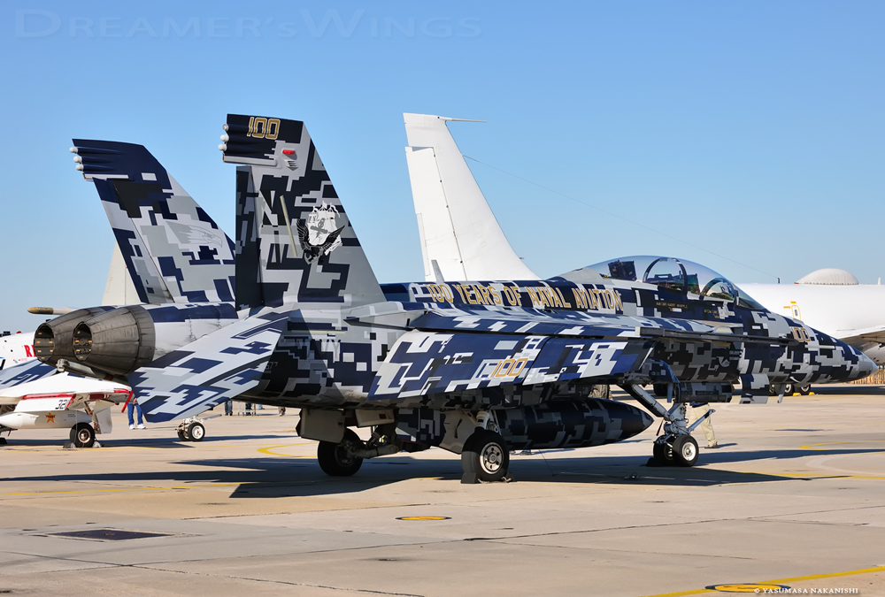 Boeing F/A-18F Super Hornet Boeing F/A-18F Super Hornet