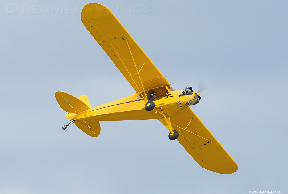 Piper J3L-65 Cub