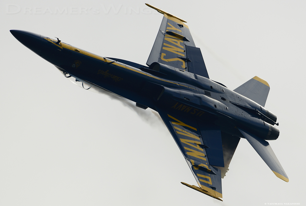 Blue Angels - Boeing F/A-18C Hornet