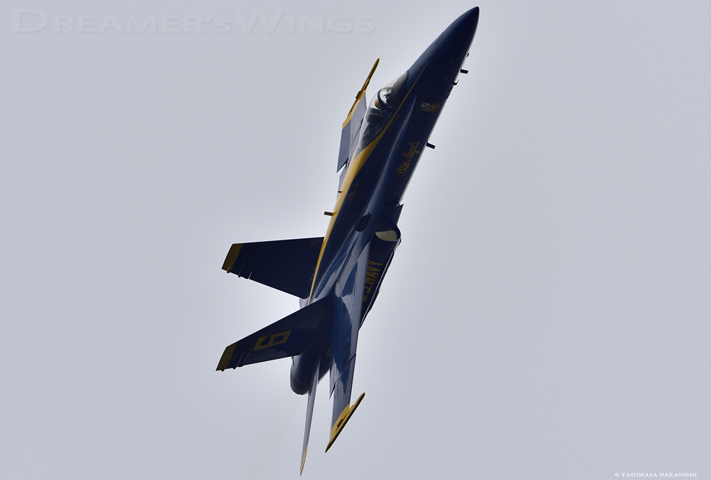Blue Angels - Boeing F/A-18C Hornet