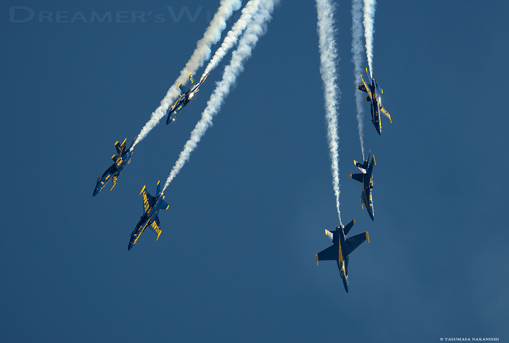 Blue Angles - Boeing F/A-18C/D Hornet