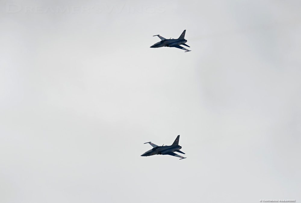 Northrop F-5E Tiger II