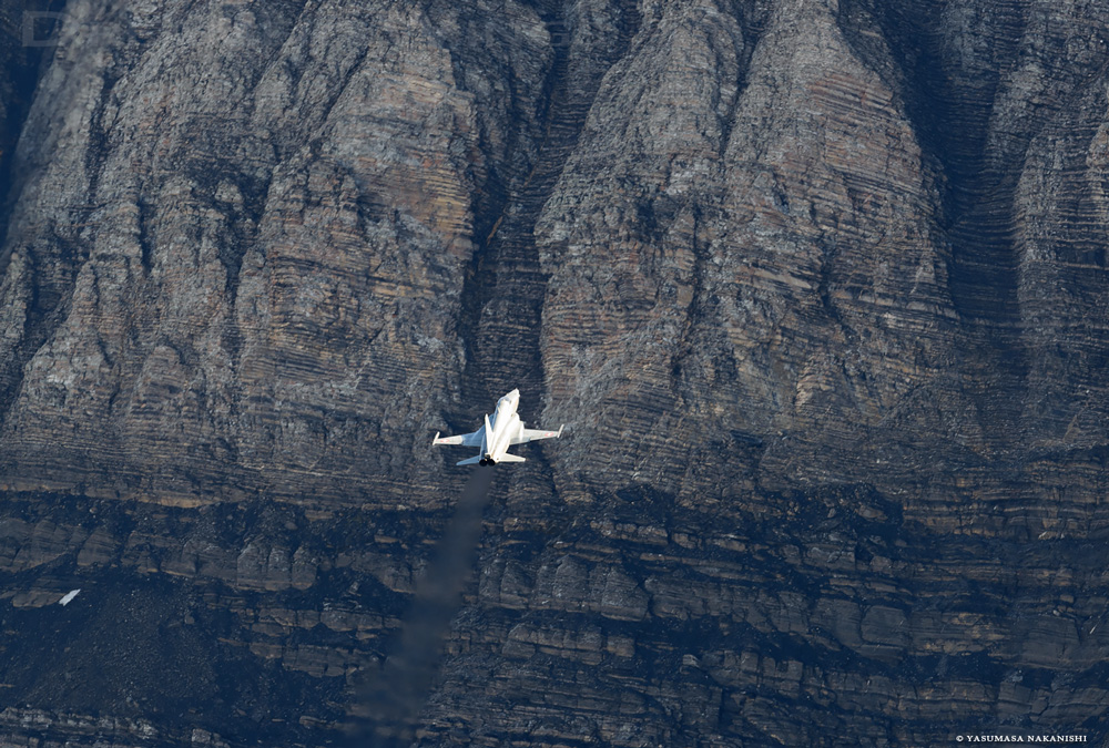 Northrop F-5E Tiger II