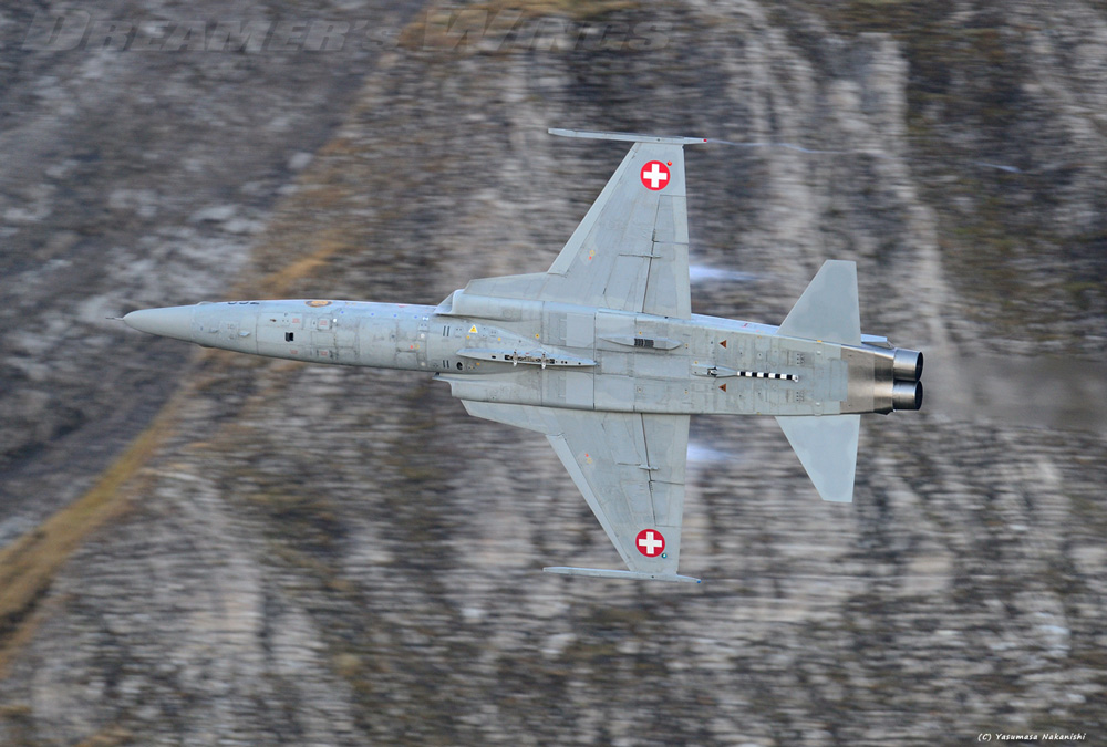 Northrop F-5E Tiger II