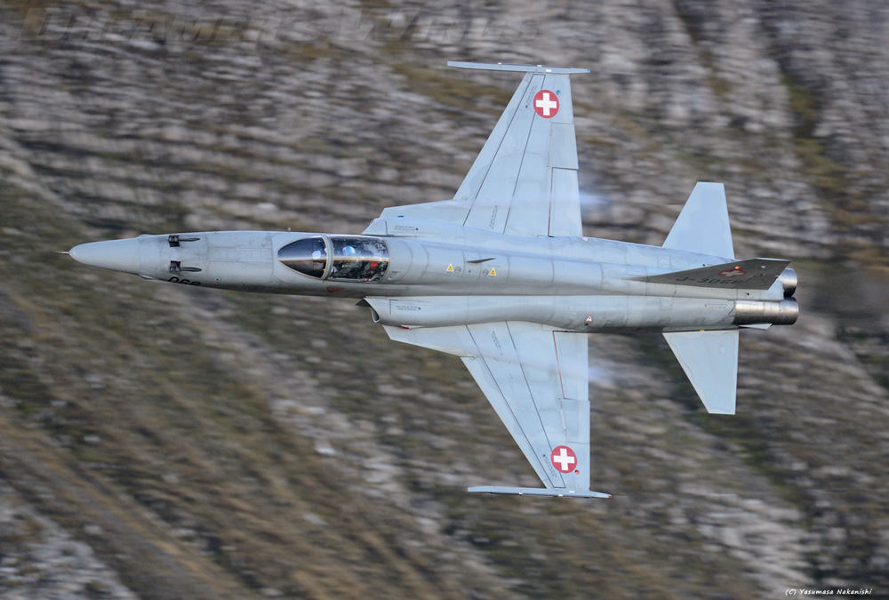 Northrop F-5E Tiger II