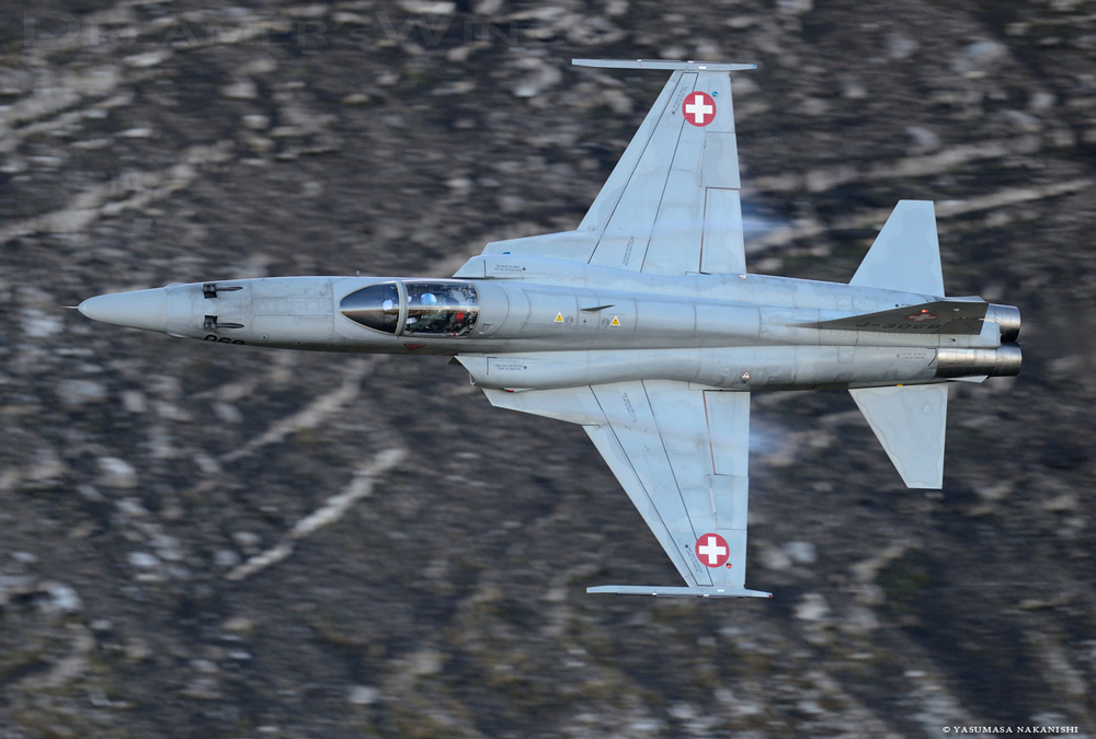 Northrop F-5E Tiger II