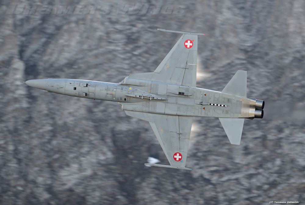 Northrop F-5E Tiger II