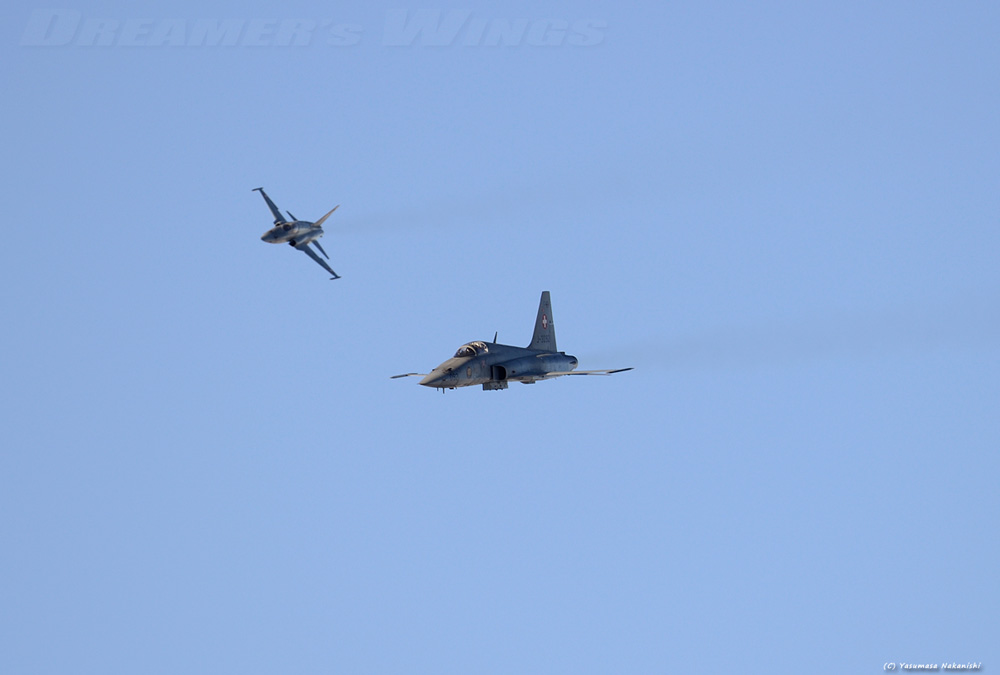 Northrop F-5E Tiger II