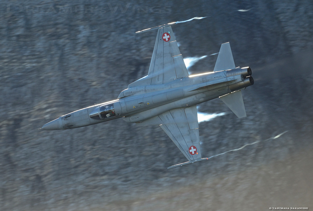 Northrop F-5E Tiger II