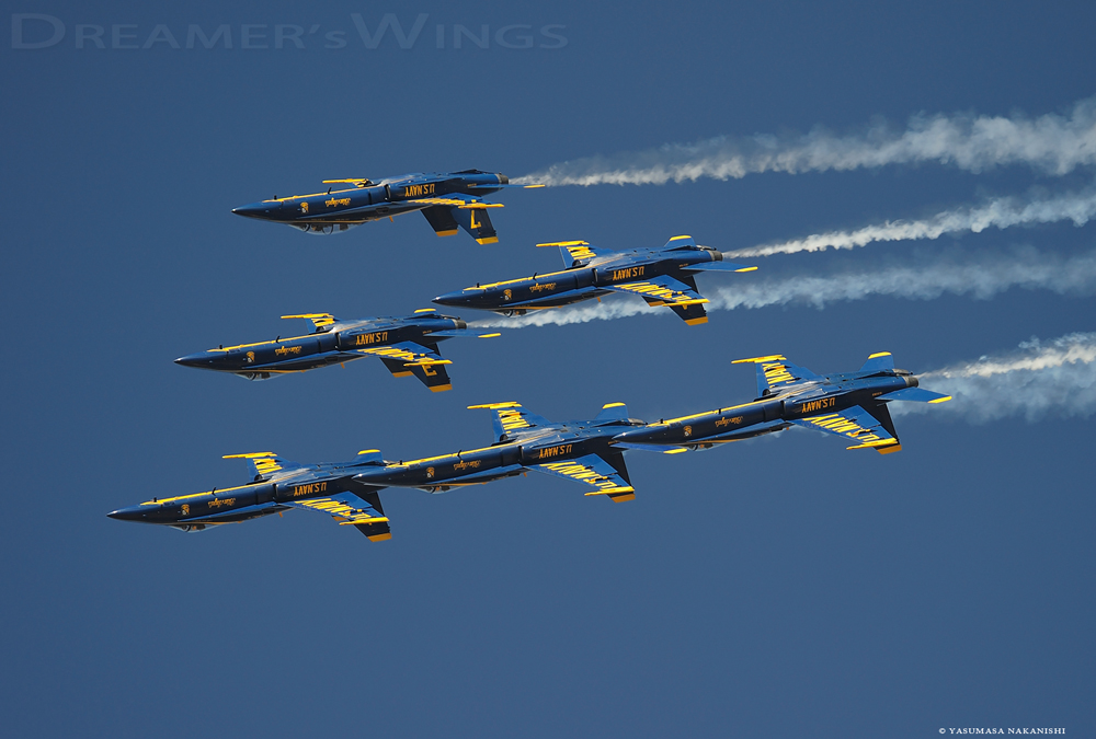 Blue Angles - Boeing F/A-18C/D Hornet Blue Angles - Boeing F/A-18C/D Hornet