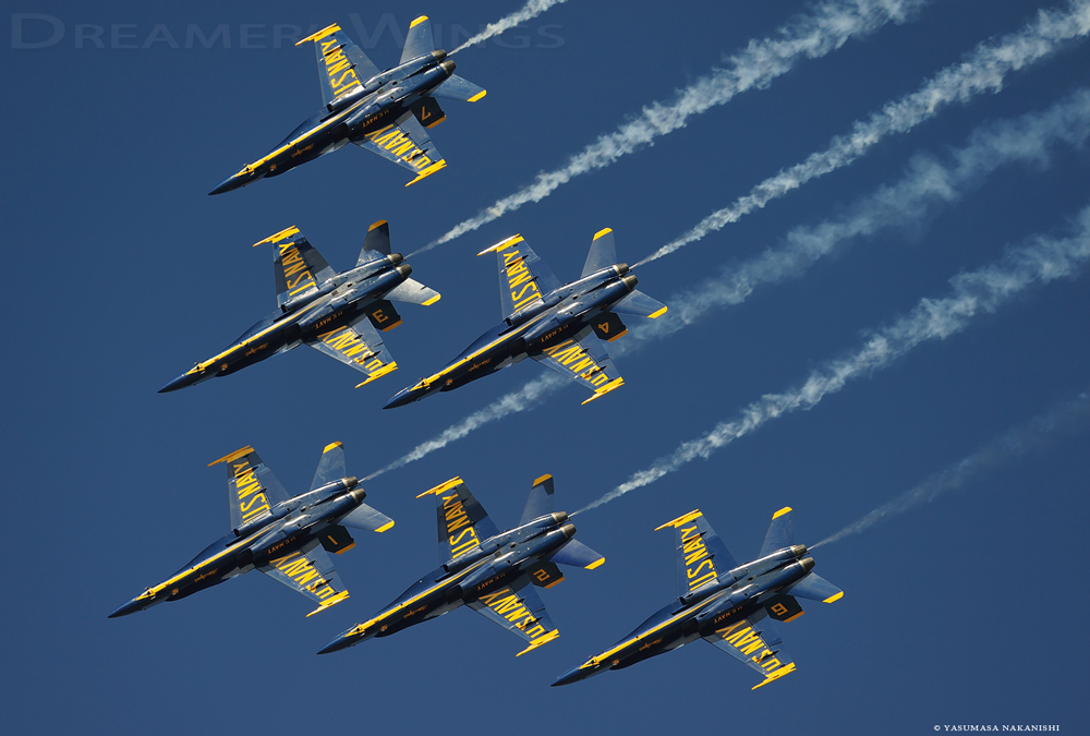 Blue Angles - Boeing F/A-18C/D Hornet Blue Angles - Boeing F/A-18C/D Hornet