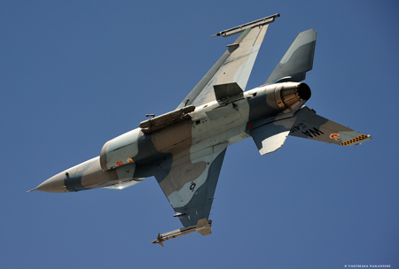 Lockheed Martin F-16C Fighting Falcon